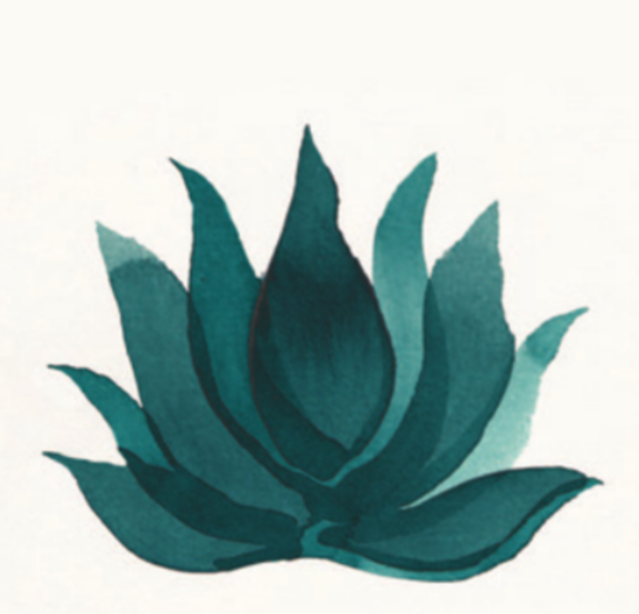 Logo Lucile Delettre Kinesiologie